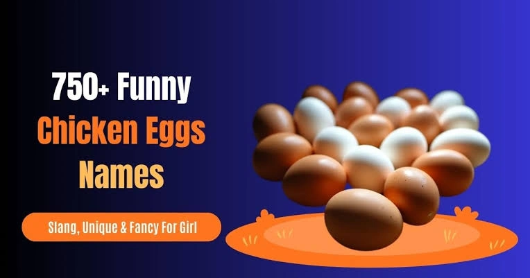 Funny Names for Chicken Eggs