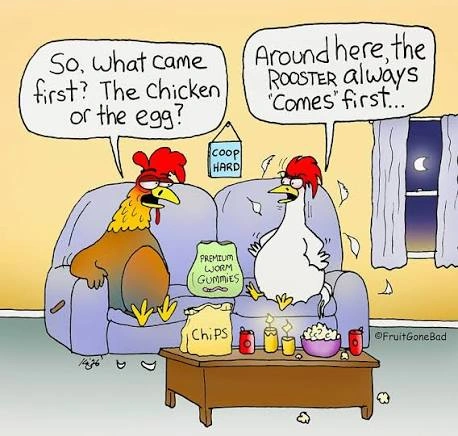 Funny Names for Chicken Eggs.